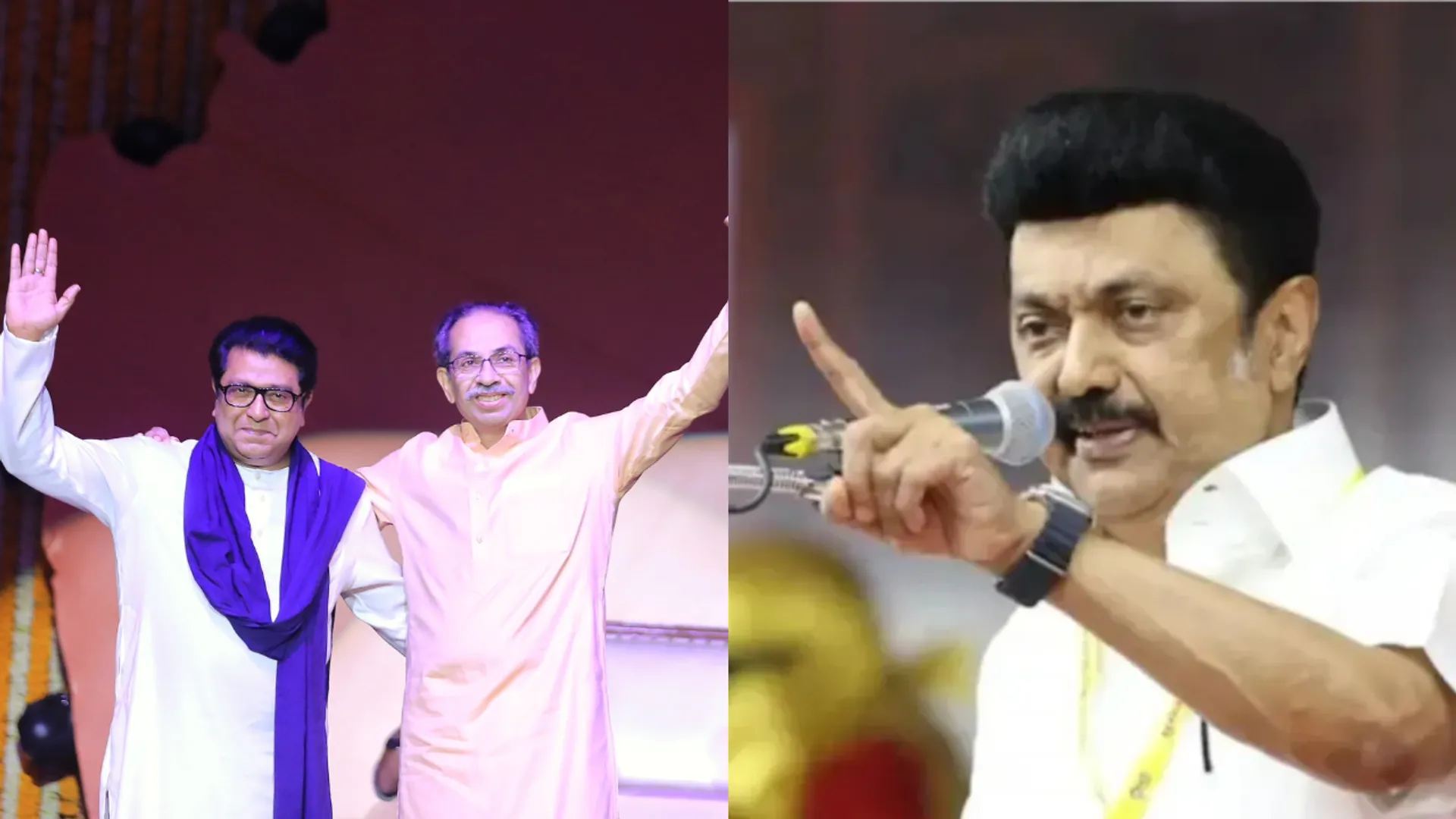 uddhav sena mp sanjay raut distances stalin hindi imposition stance said we are not anti hindi