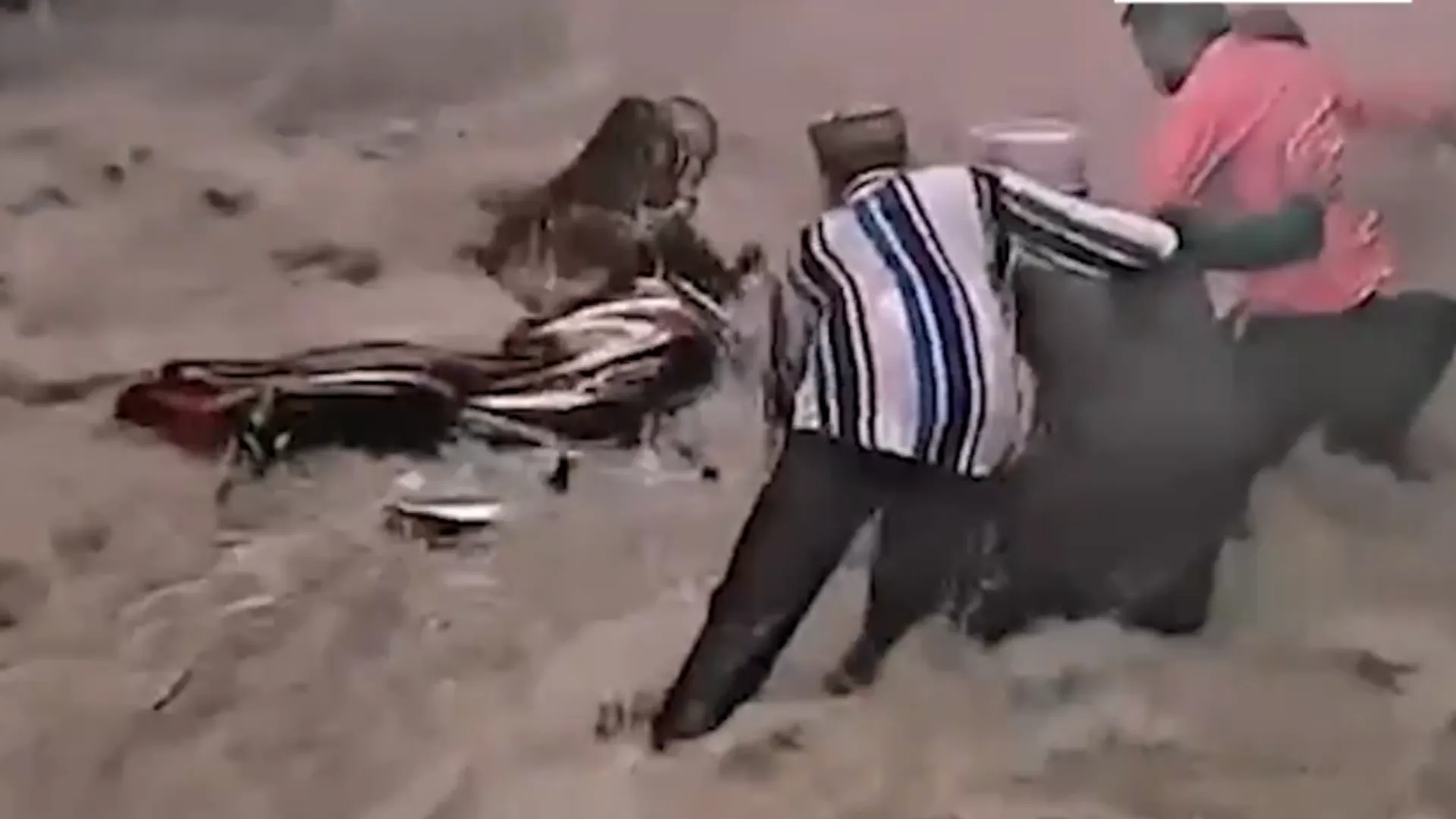 ajmer flood sweeps bike near khwaja gareeb nawaz dargah imd issue red alert in several districts