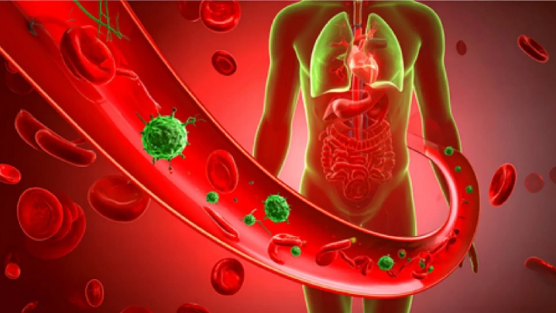 human body bacteria sepsis