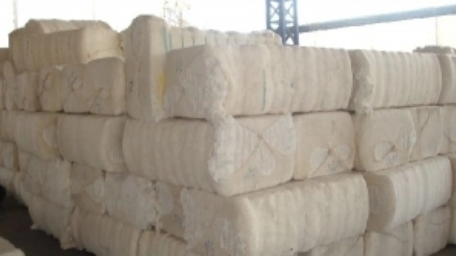 indian finance ministry exempts import duties on cotton till 30 september amid trump tariff tension