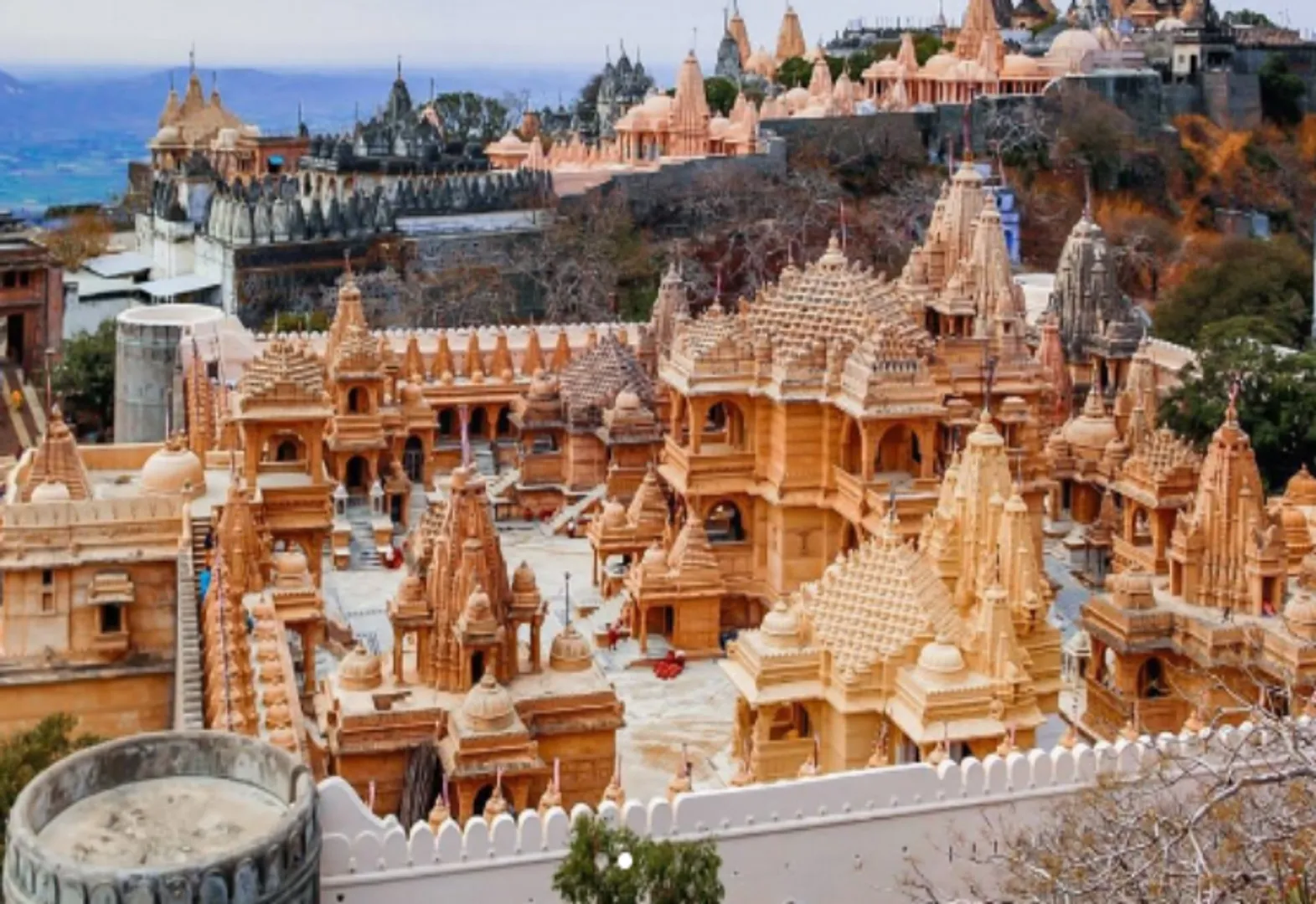 Gujarat: Demand of Jain monks fulfilled, Palitana becomes non-vegetarian free, first city in the world to do so