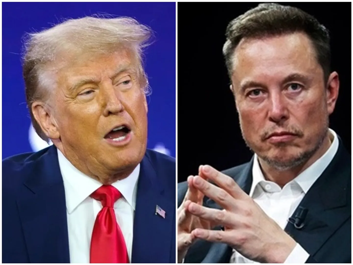 tesla ceo Elon Musk donated huge to Donald Trump's election campaign Report