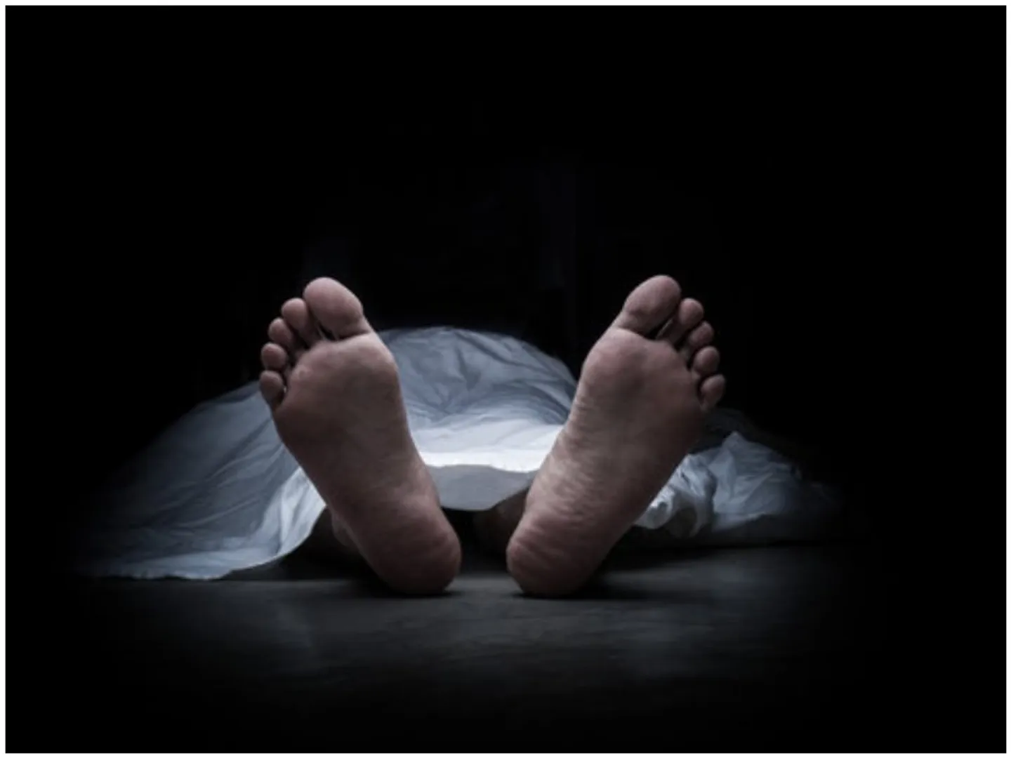 26-year-old female CA Anna Sebastian Perayil dies due to workload of EY company Labor Ministry orders investigation