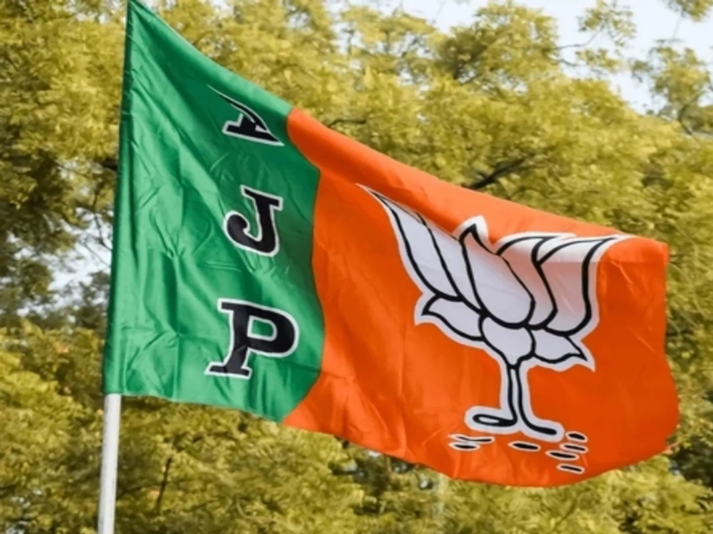 Delhi Elections: BJP releases first list of 29 candidates