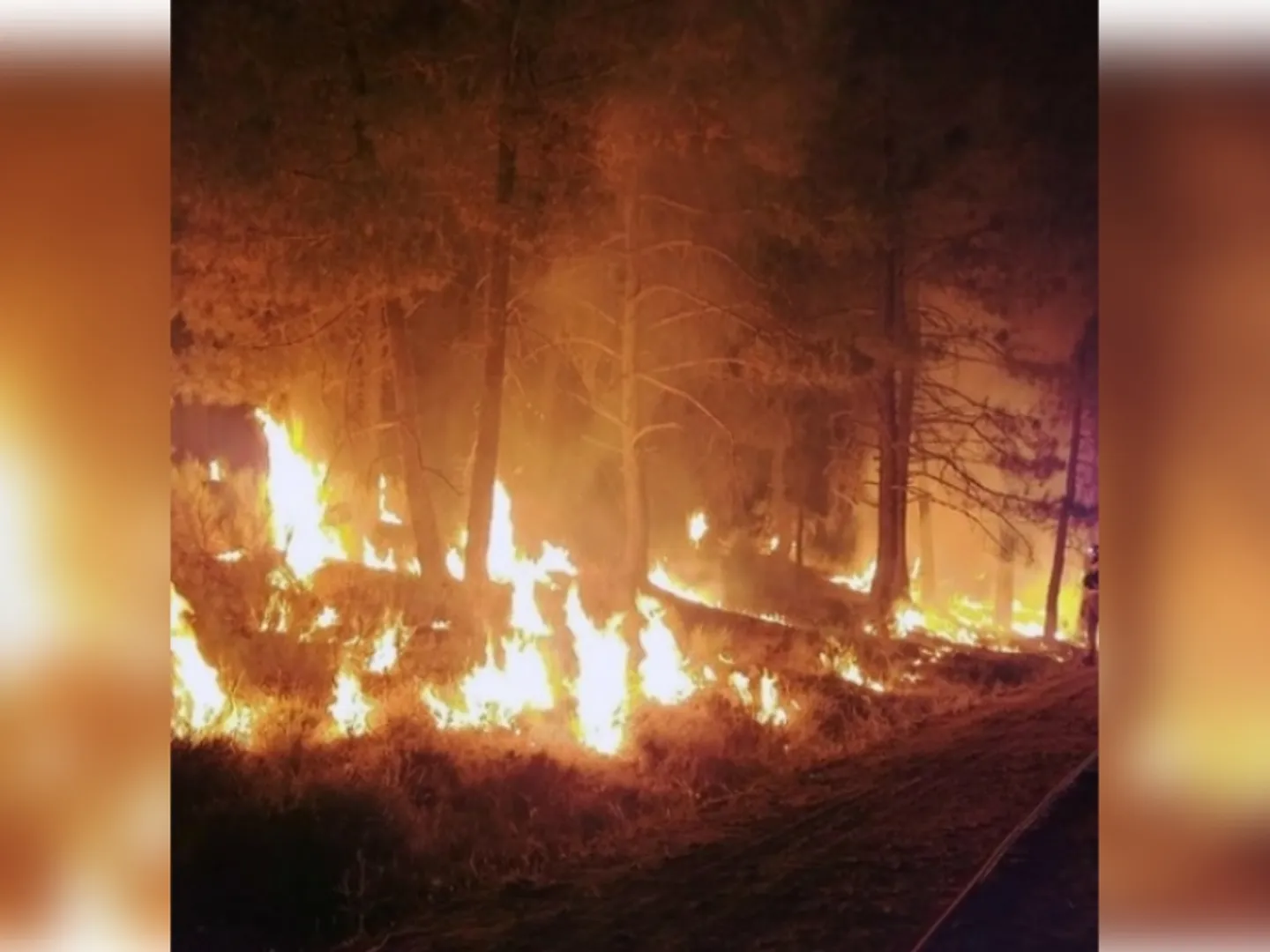 Los Angeles Wildfires, America, California, Los Angeles Fire, लॉस एंजिल्स, कैलिफोर्निया लॉस एंजिल्स की आग, World News In HIndi, world news in hindi, hollywood hill,अमेरिका, कैलिफोर्निया, अमेरिका को हुआ इतिहास का सबसे बड़ा नुकसान, अमेरिका को 135 से 150 बिलियन डॉलर का नुकसान, 11 लोगों की हुई मौत