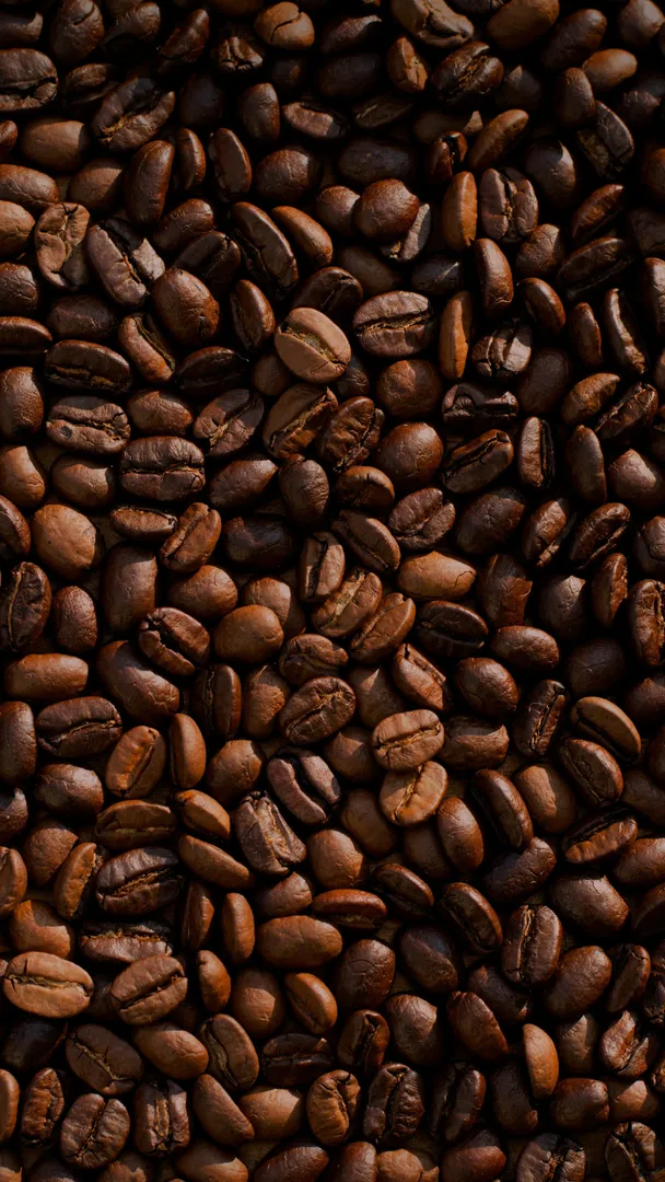  Coffee Machine Accessories   
