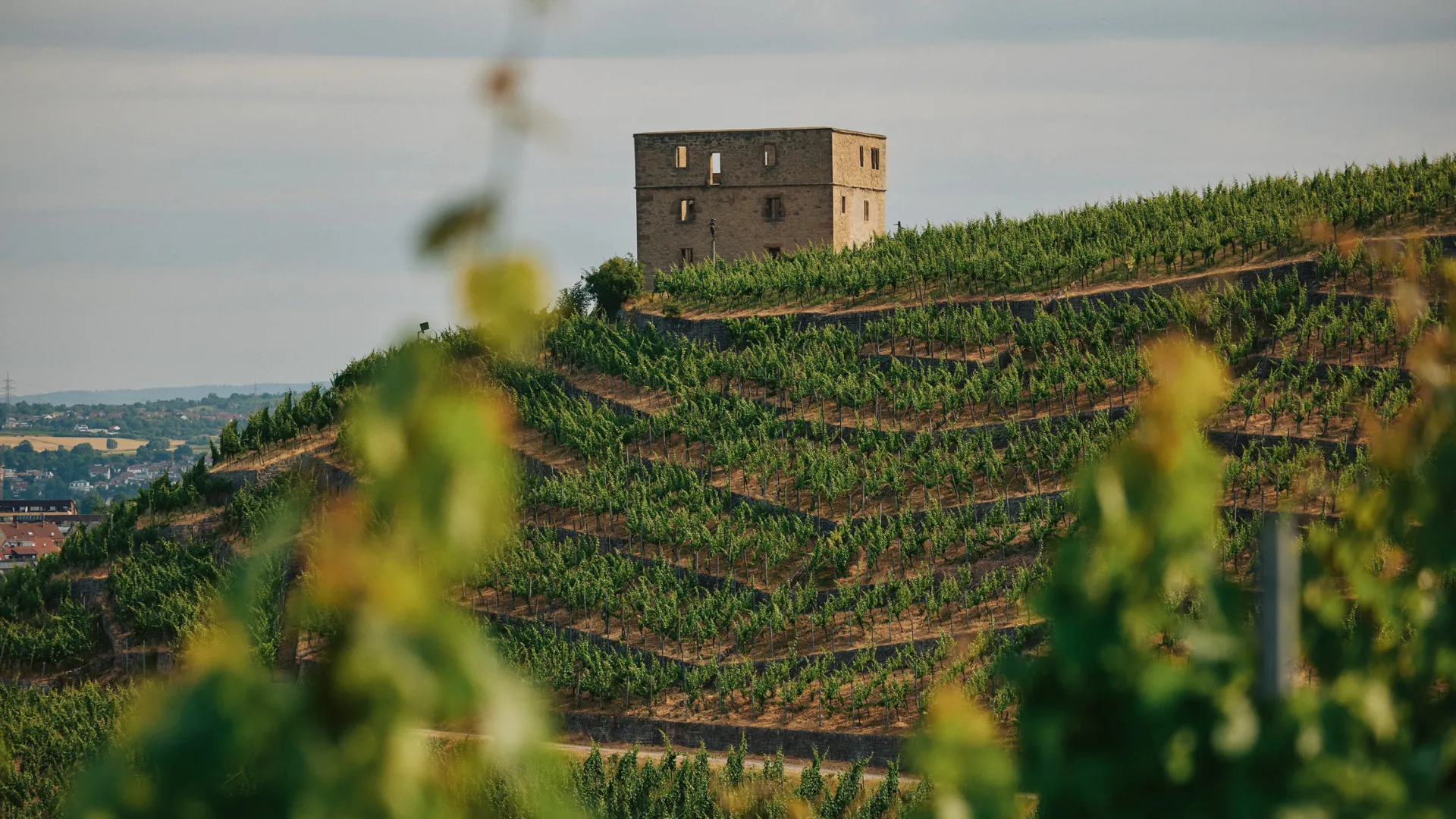 German Riesling