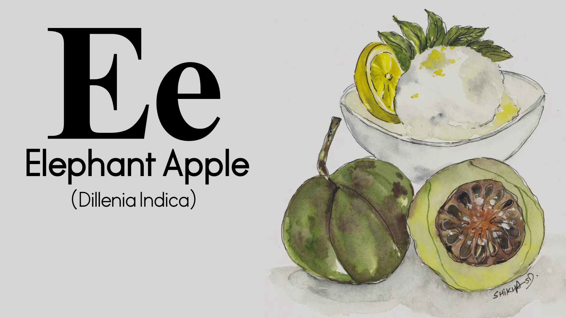  ELLE Gourmet Banner (2)   