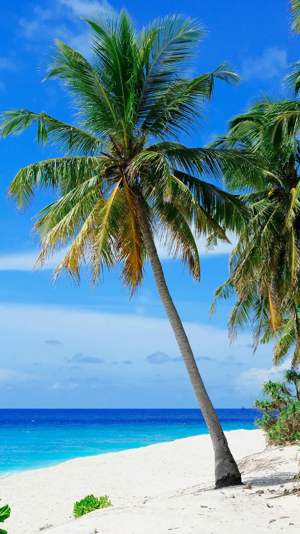  beach cover   