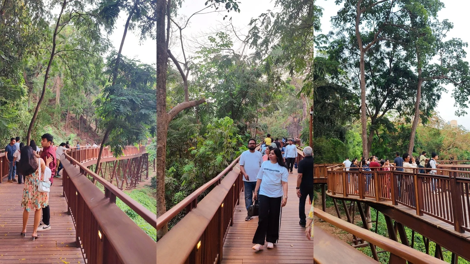 Fitness seekers at the new elevated forest walkway at Malabar Hill