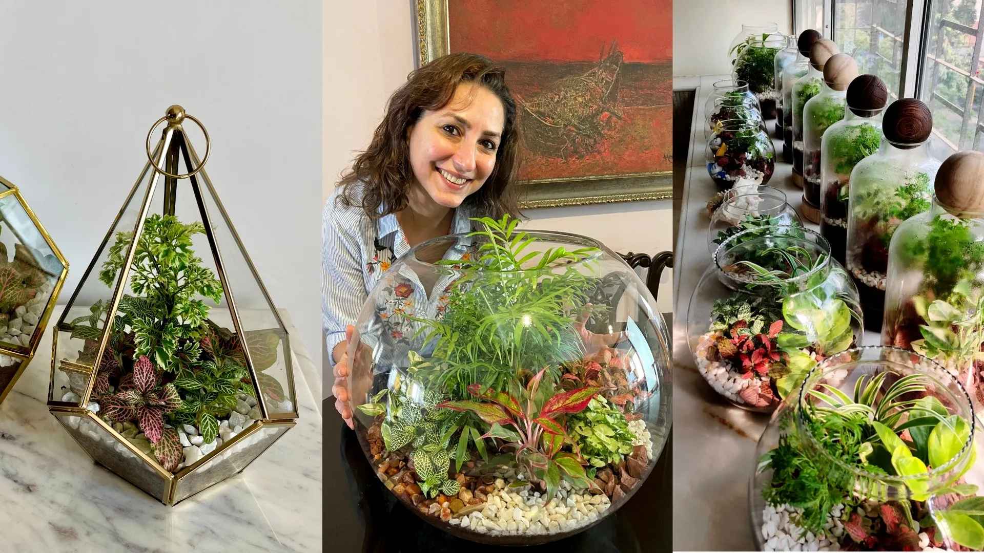 Terrariums 2
