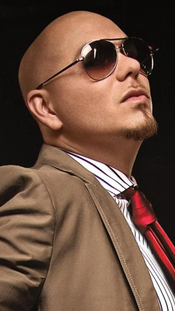  Pitbull   