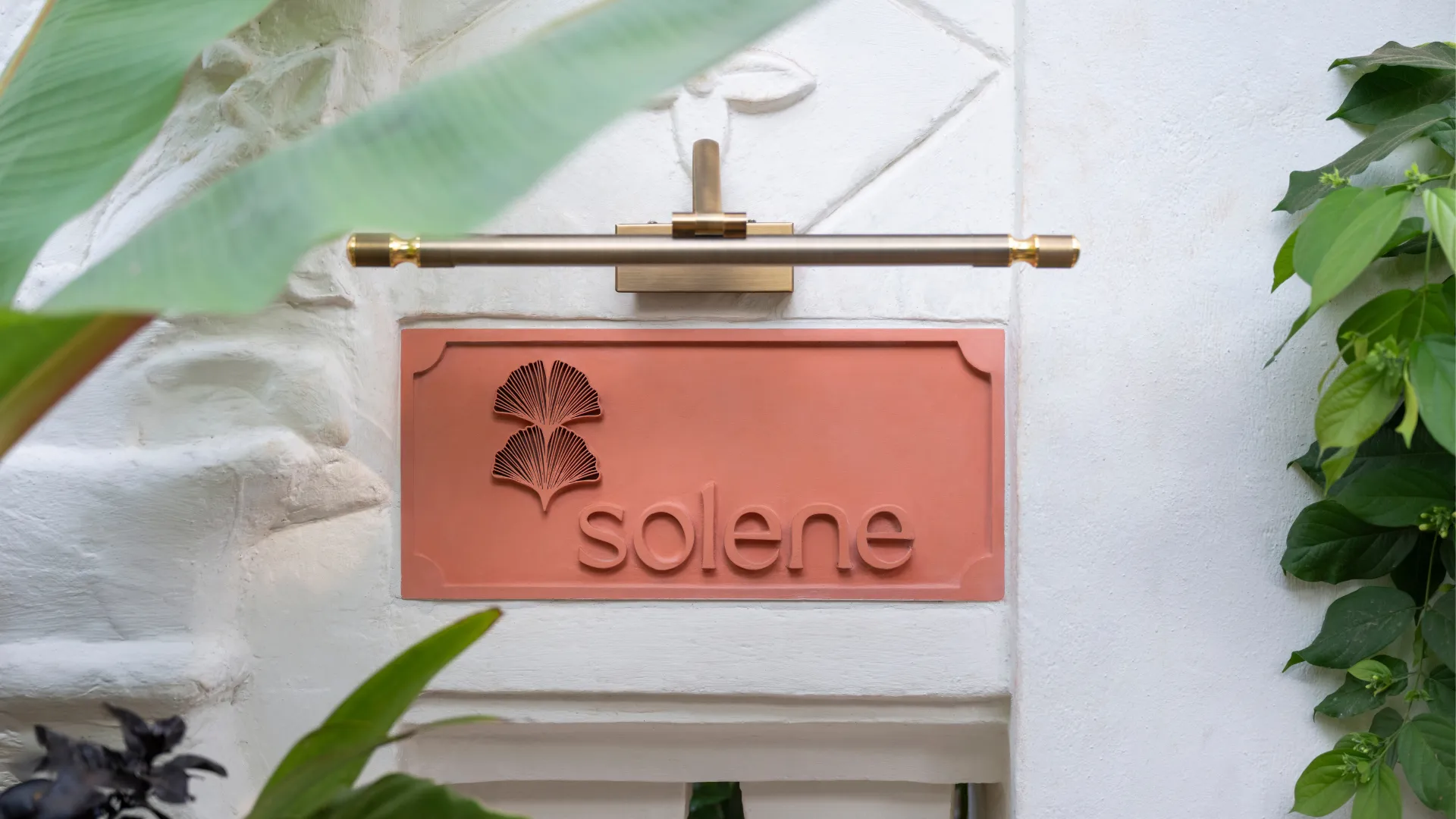 Solene