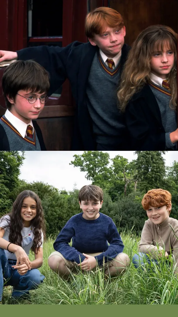   Harry Potter   