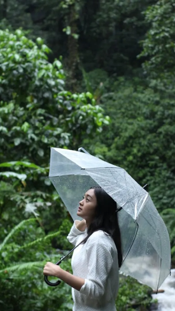  rain   