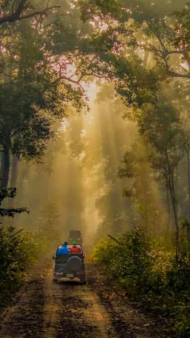 Travel 1   