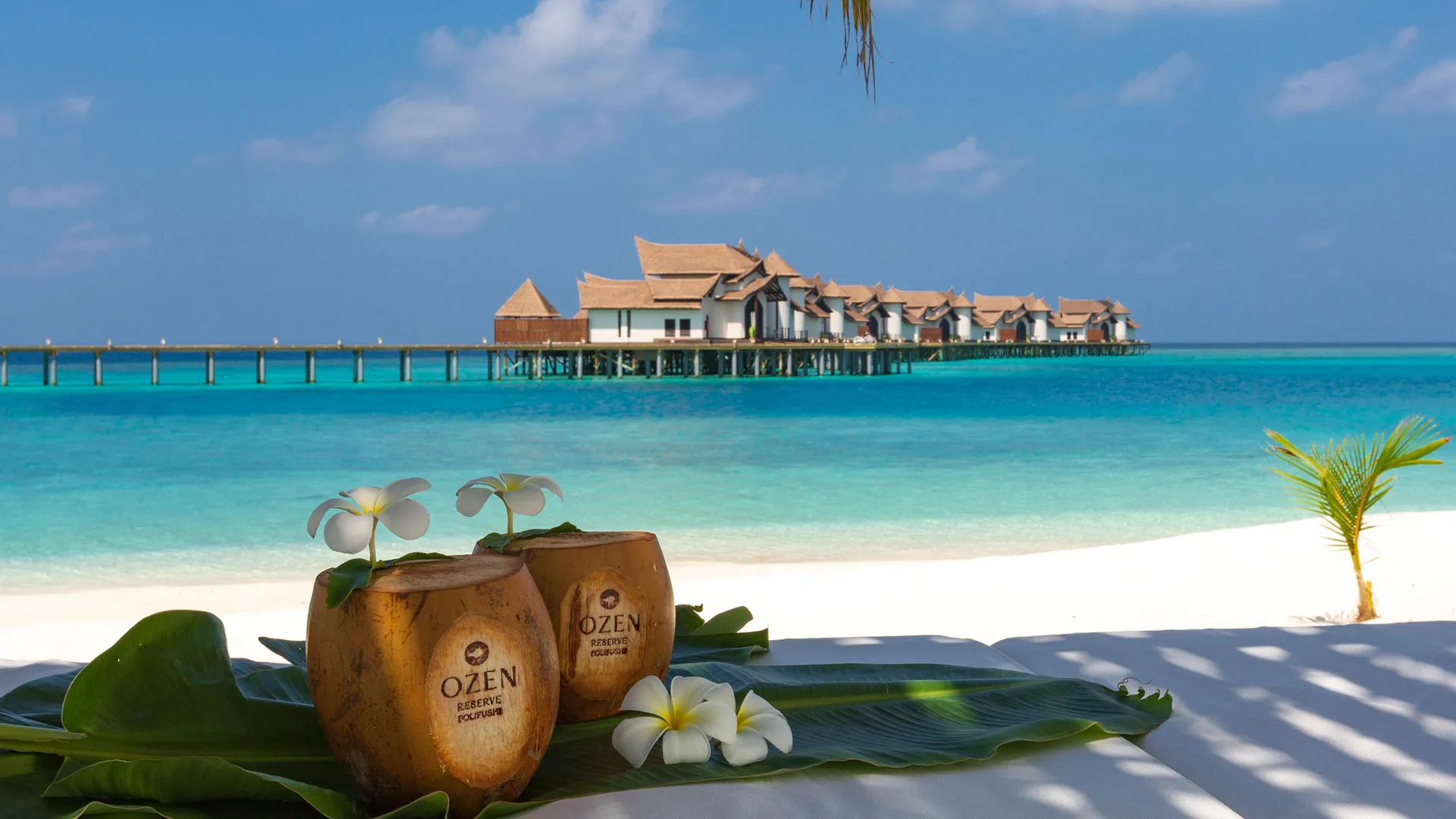  OZEN-RESERVE-BOLIFUSHI-Beach-Coconuts-1   