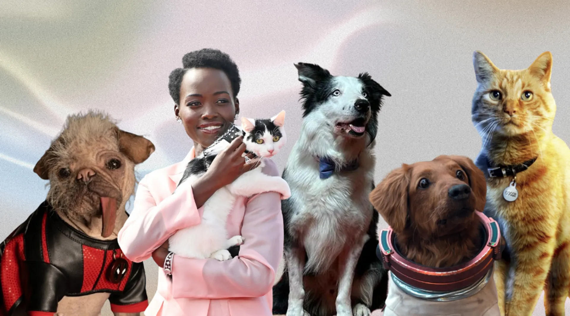  10 Times These Adorable 'Pup-Stars' Stole The Limelight On Our Film Screens   