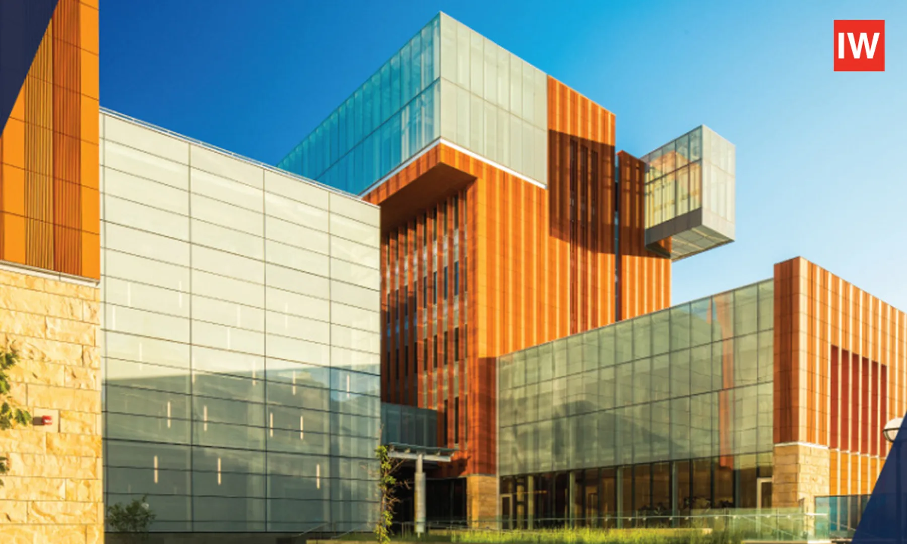 Top-Universities