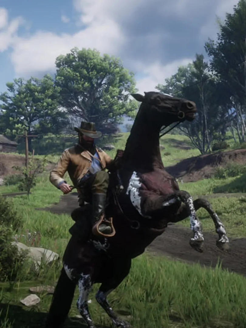 Red-Dead-Redemption