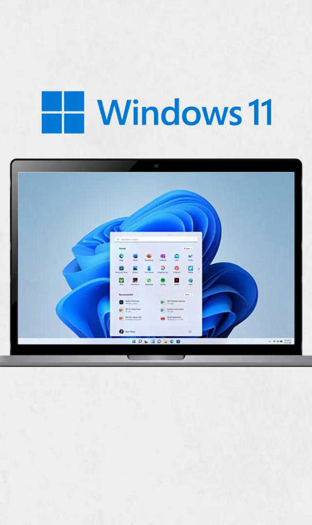 Search-Bar-Issue-in-Windows-11-Try-these-Fixes