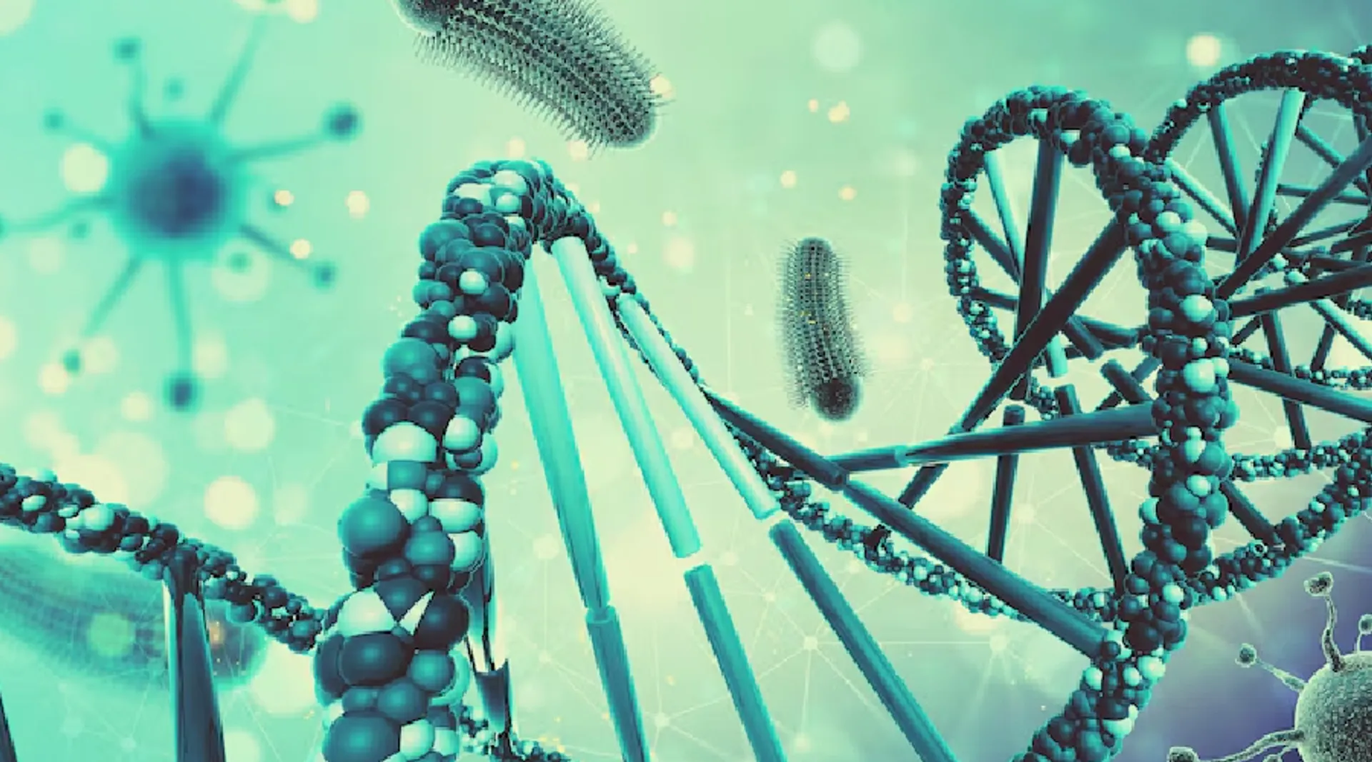 Key Design Principles of Antibody–Drug Conjugates for Targeted Cancer Therapy
