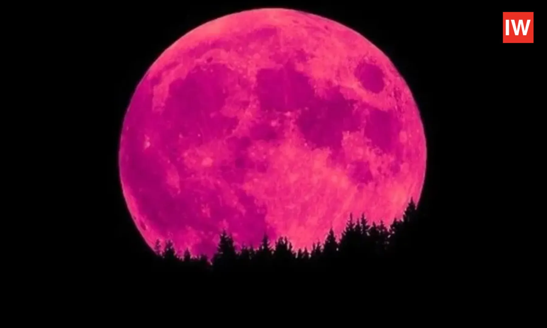 Strawberry-Moon-2025-to-Glow-Golden-in-Rare-Lunar-Event-on-June-10