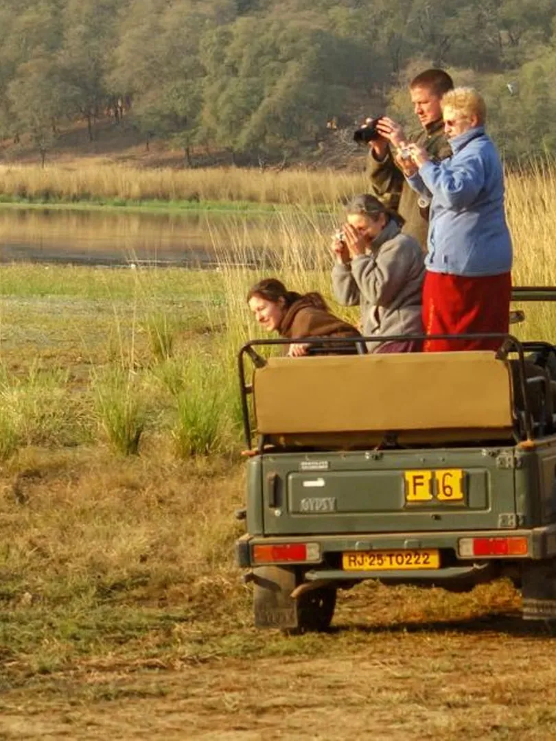 Ranthambore-National-Park-in-Rajasthan-offers-thrilling-safaris-to-spot-majestic-Royal-Bengal-tiger