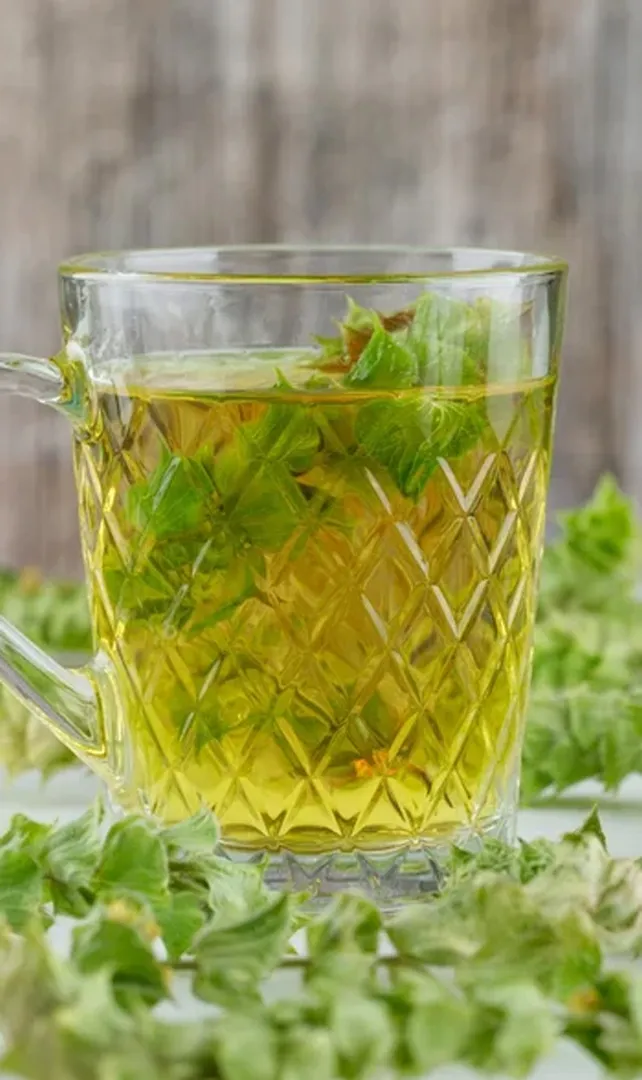 Best-Ginger-Tulsi-Recipe-to-Boost-Your-Immunity