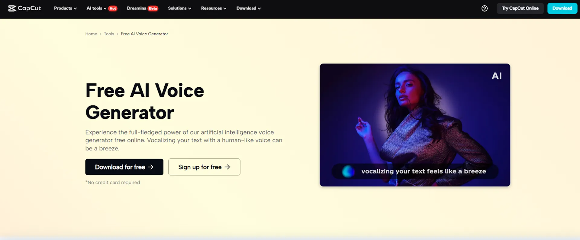 Text-to-Speech AI