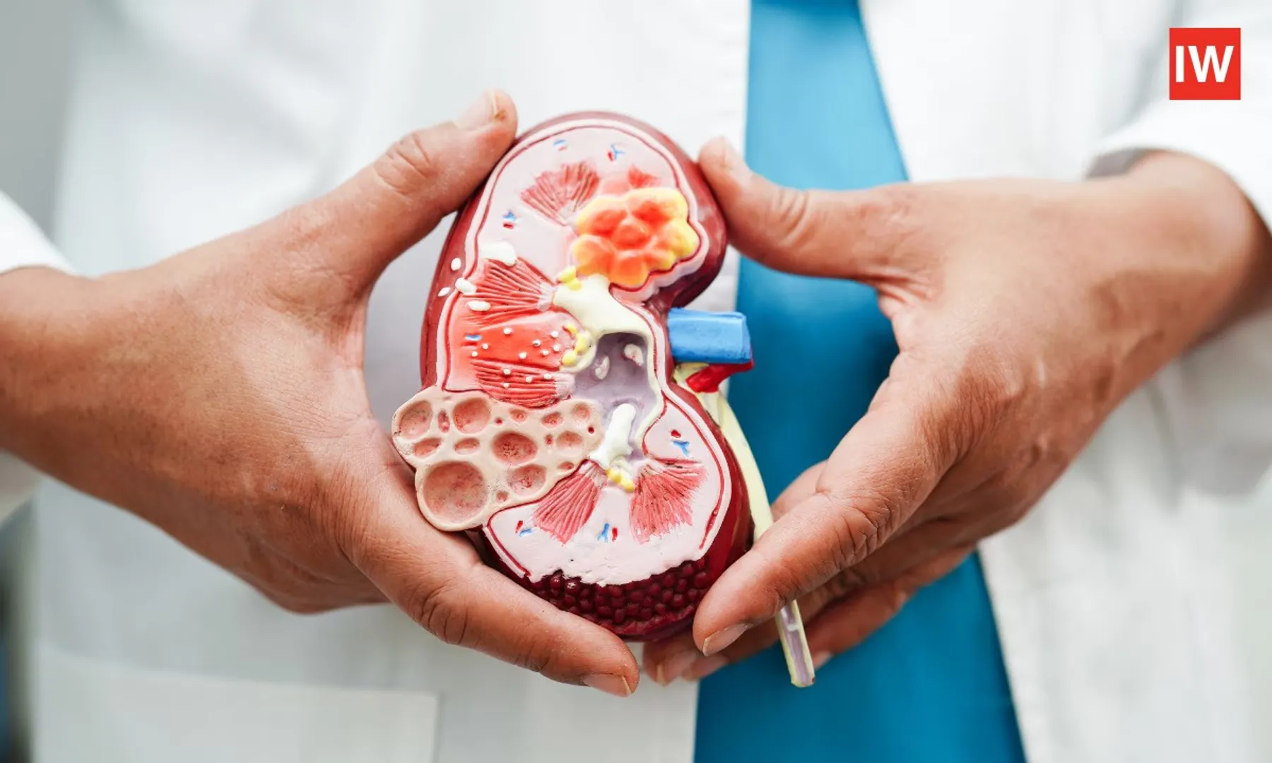 Six-Children-Die-of-Kidney-Failure-in-Madhya-Pradesh;-Contaminated-Cough-Syrups-Banned