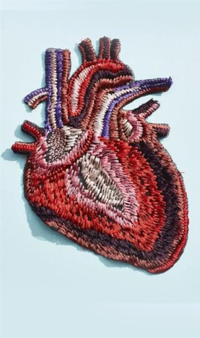 The-Largest-&-Smallest-Hearts-in-the-Animal-Kingdom