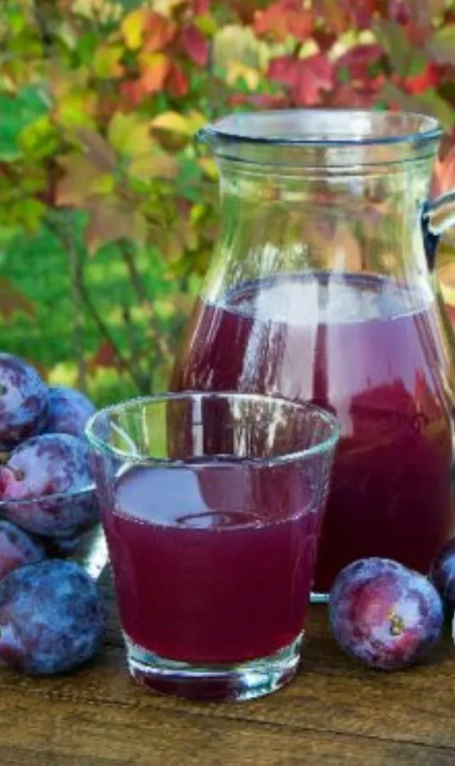 Plum-juice-improves-bowel-regularity-through-sorbitol-and-polyphenols-stimulating-gentle-intestinal-motility. (1)