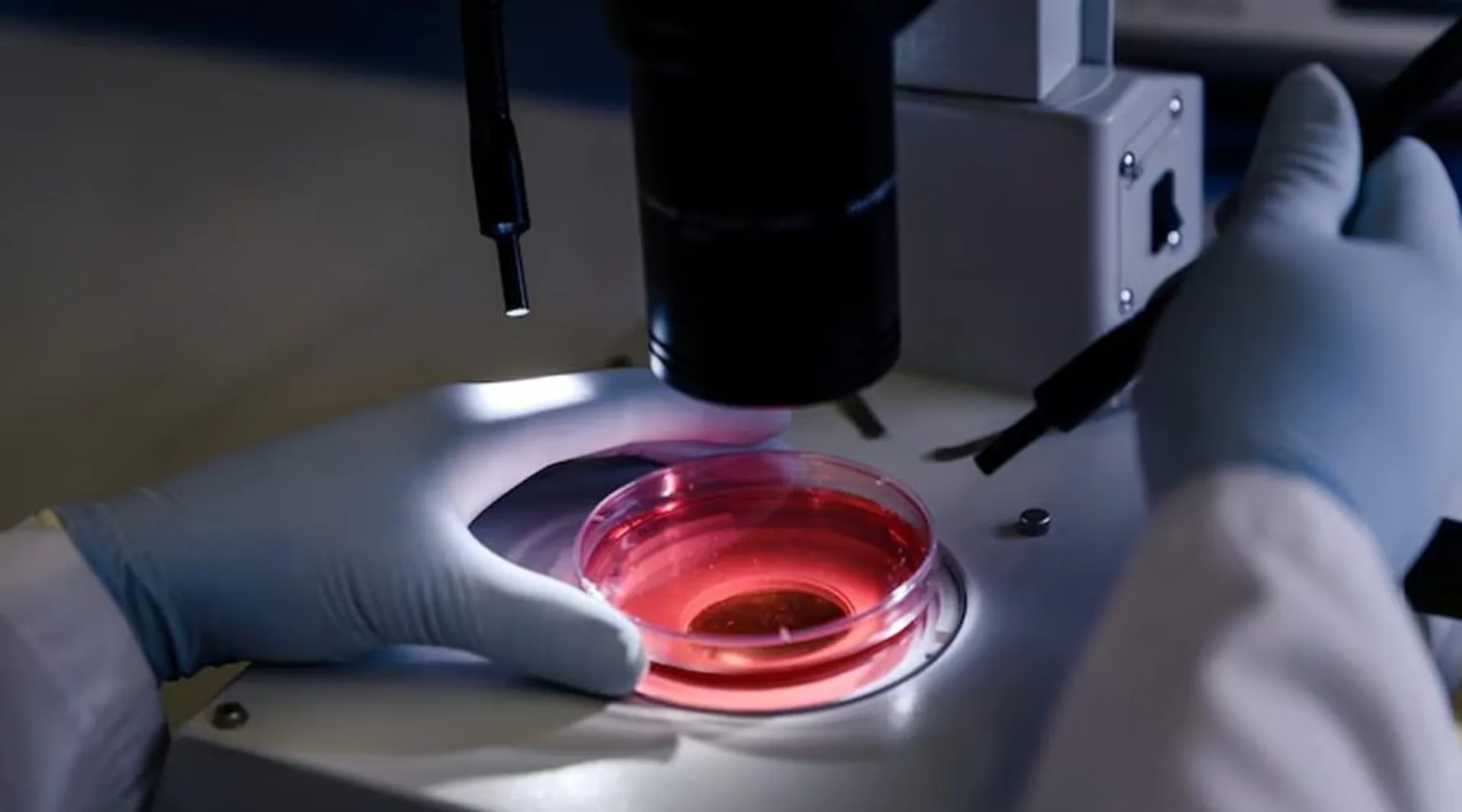 The Latest Advances in Cancer Research