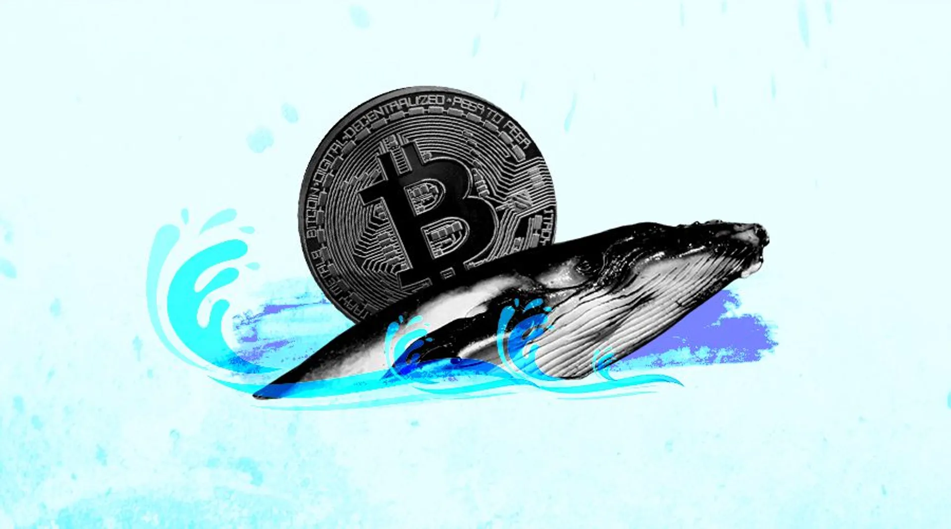 Price Analysis: Where is Bitcoin Moving Next with Whales Gathering?