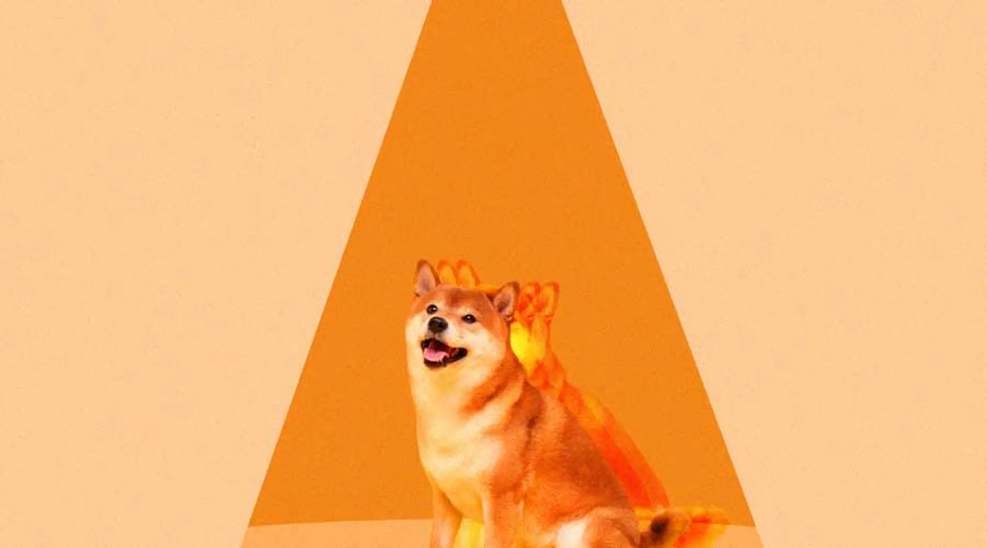 ShibaInu