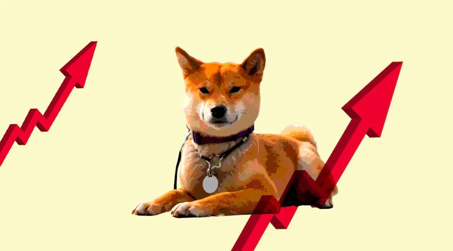 Will Shibarium Launch Change the Fate of Shiba Inu?