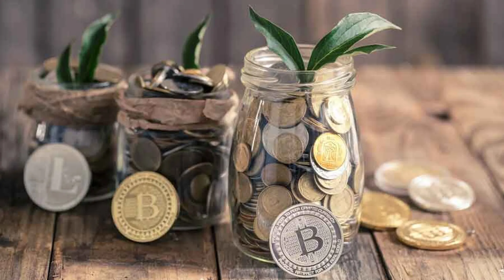 Crypto