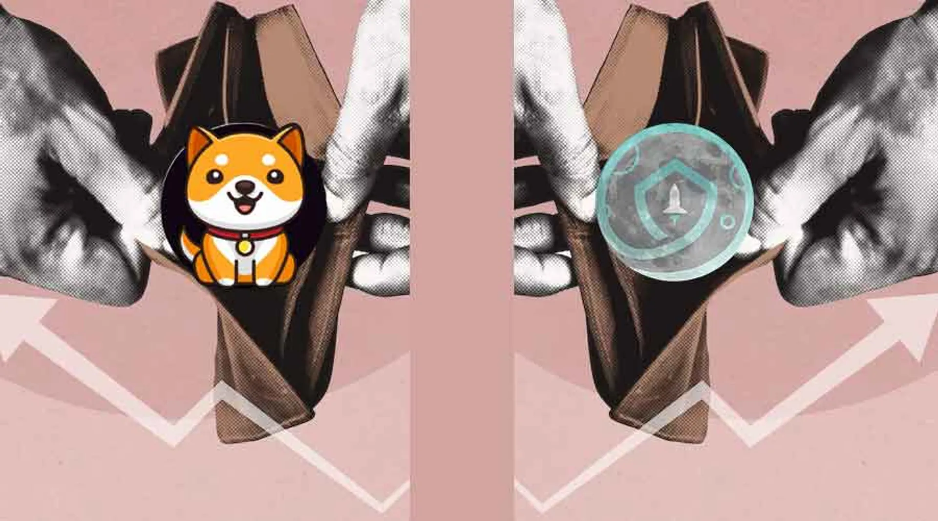 ShibaSwap vs SafeMoon Wallet: Decoding the Differences