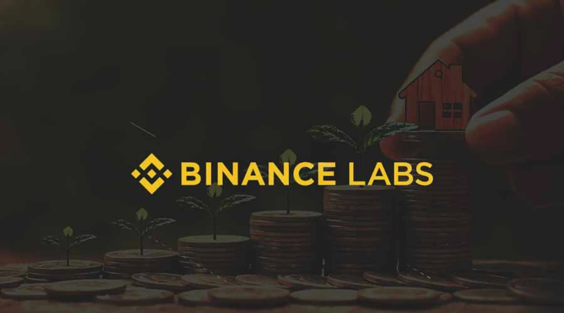 Binance-Labs