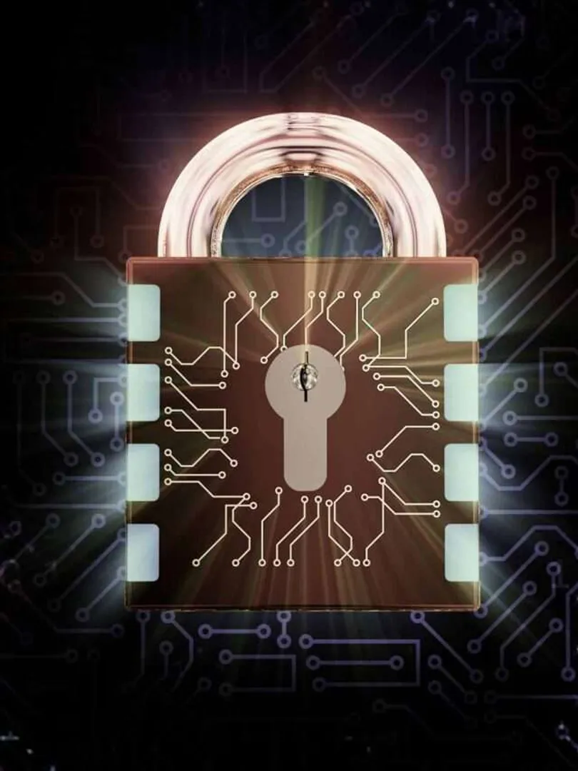 Cybersecurity-Companies-Open-Wallets-for-Robust-Digital-Protection