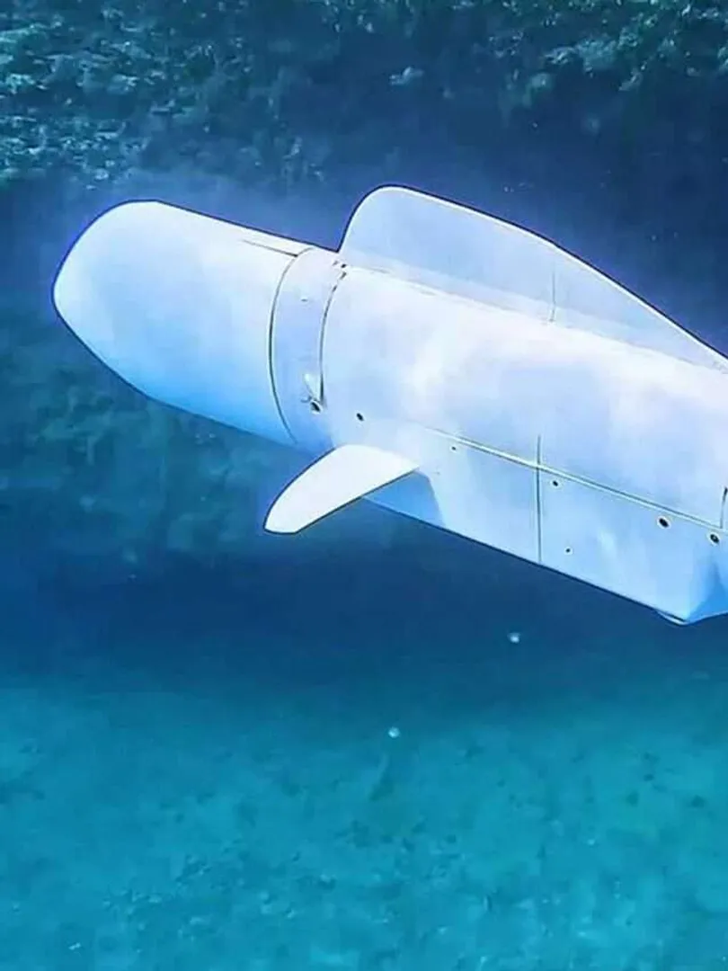 AI-Driven-Robotic-Fish-Efficiency