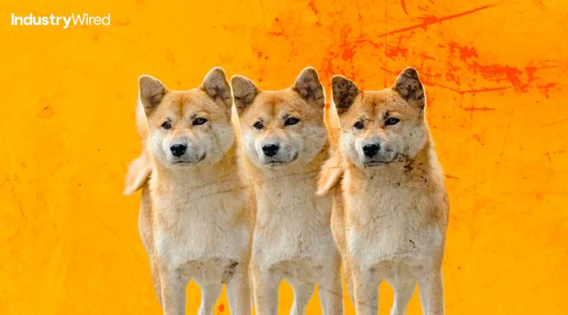 Forecasting Shiba Inu: The Road to $1 in 2024