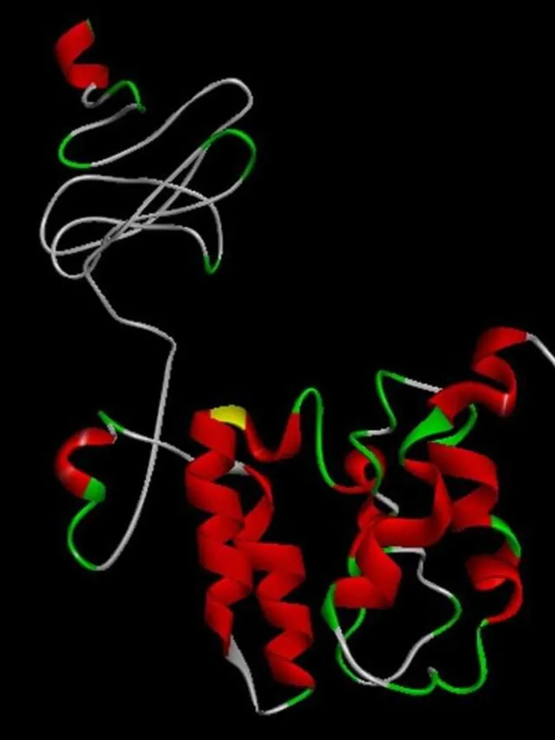 A-secret-universe-of-vital-antimicrobial-peptides-is-revealed-by-machine-learning.