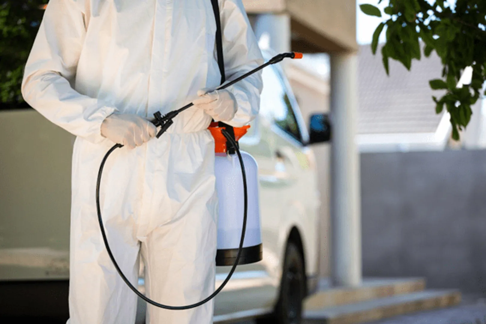 When to Call for Emergency Pest Control