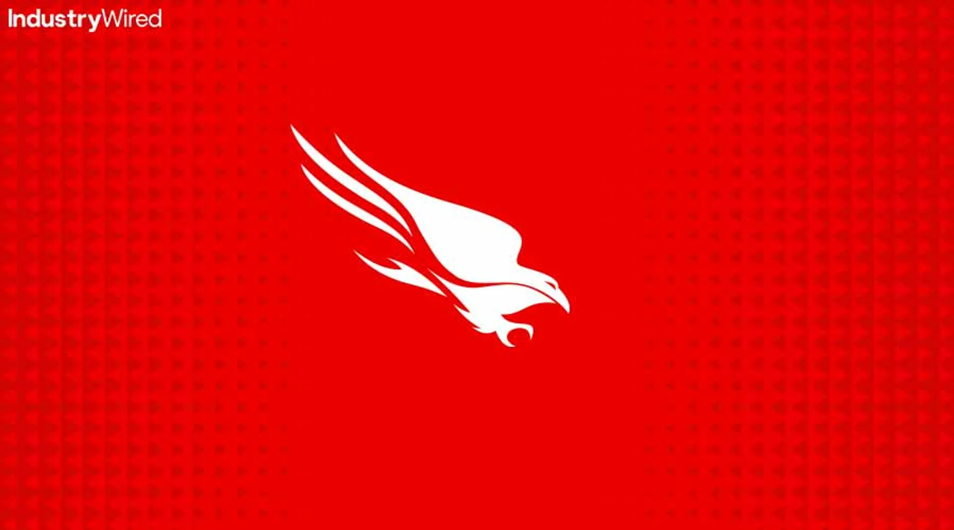 CrowdStrike-Faces-Lawsuit-from-Shareholders,-Here-is-Why