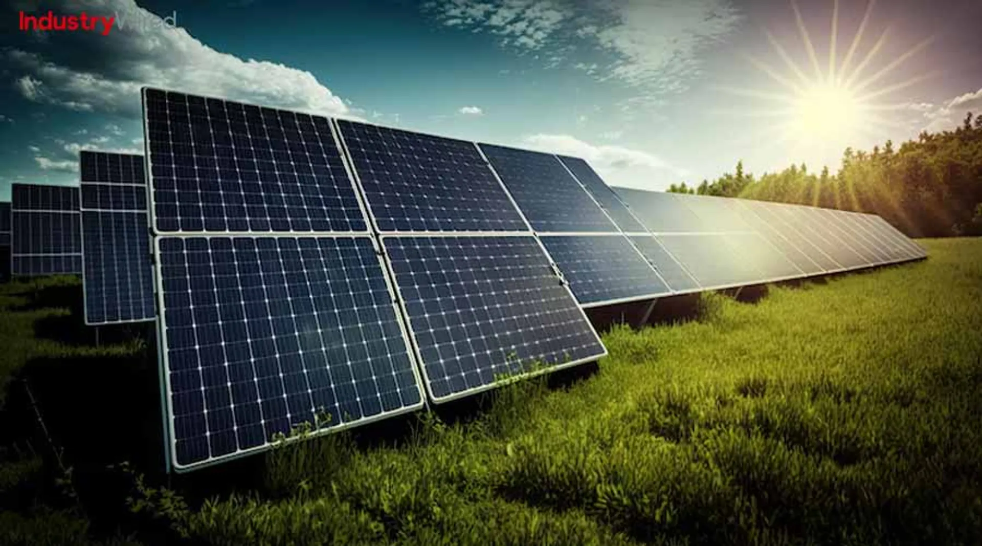 Renewable Energy Investment