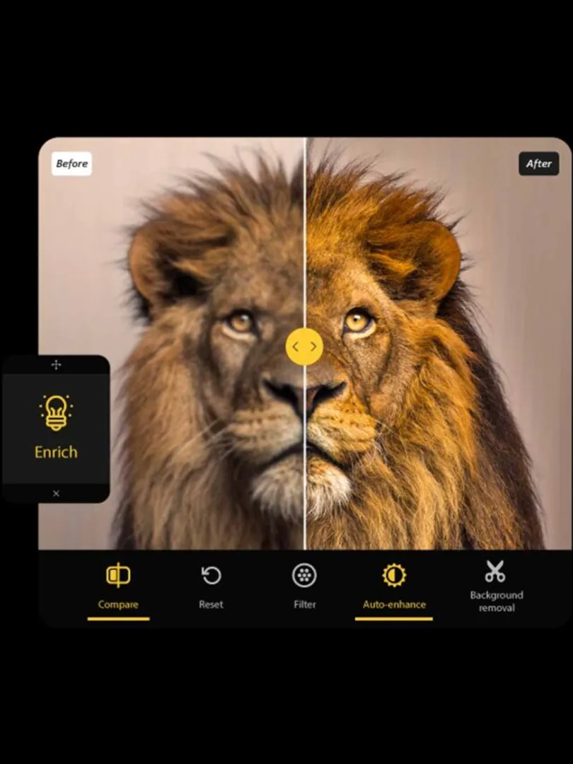 Automated-Image-Enhancement-Photo-AI-instantly-enhances-images-by-adjusting-lighting,-contrast,-and-sharpness-for-visually-appealing-social-media-posts.