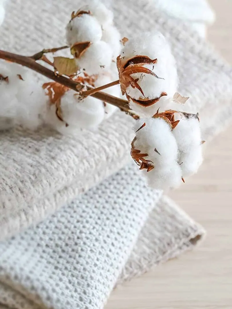 Bio-Based-Fabrics-Materials-like-lab-grown-leather,-mushroom-leather,-and-algae-based-textiles-are-reducing-dependence-on-animal-products-and-synthetic-fibers.