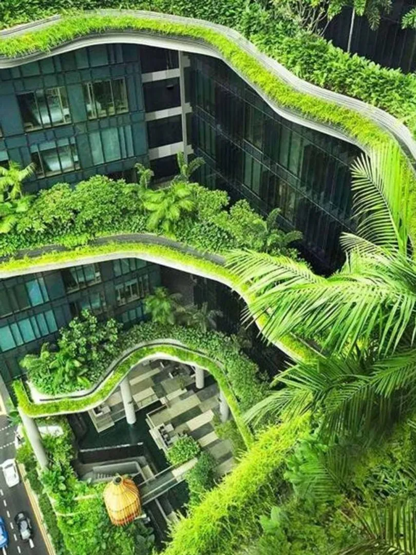 Carbon-Neutral-HotelsMany-hotels-are-adopting-carbon-neutral-practices-by-offsetting-emissions-through-renewable-energy-and-eco-friendly-construction-materials.